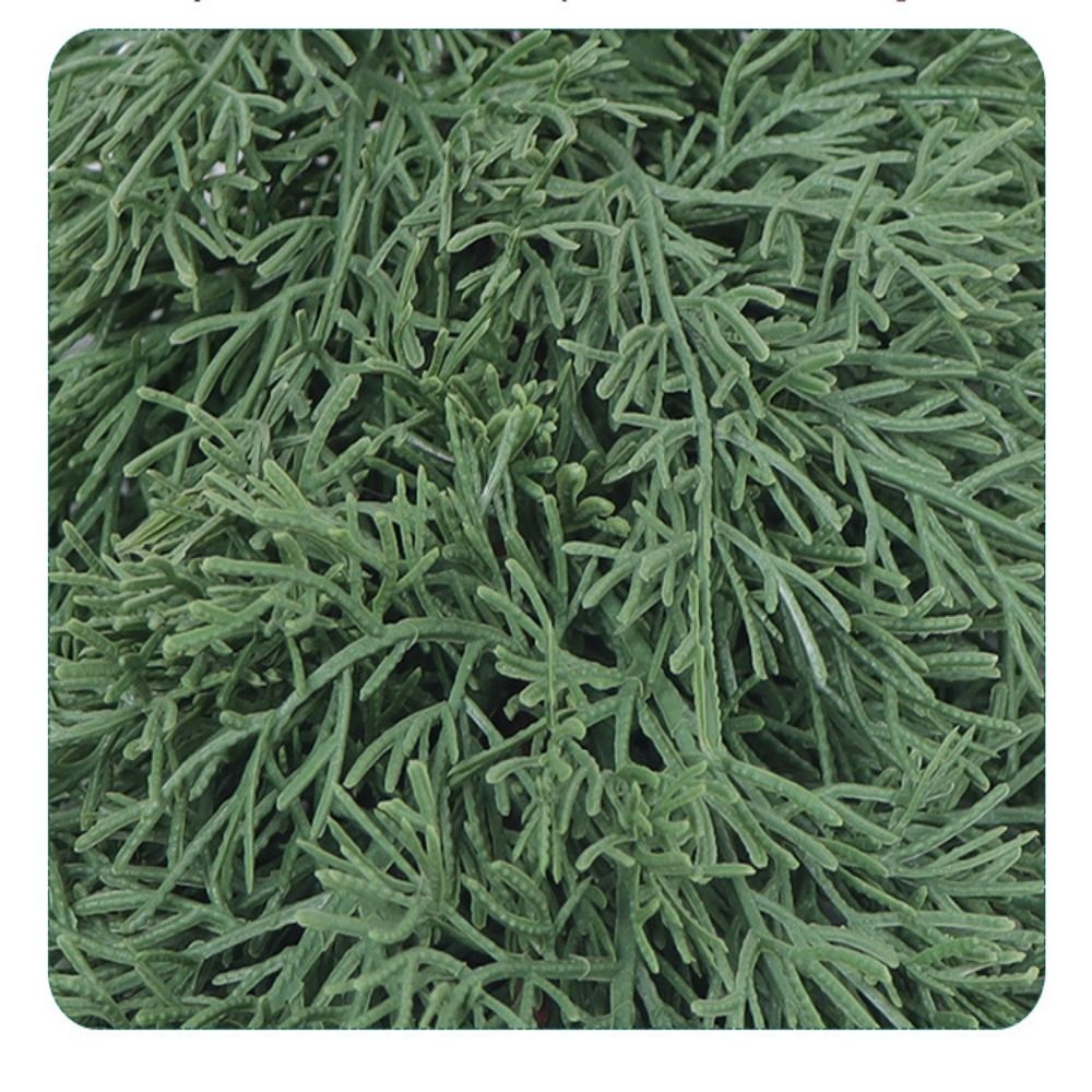 Groene Kunstmatige Pijnboomtak - Christmas Tree Artificial recensie en prijs